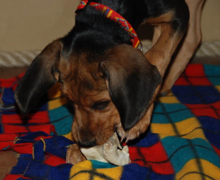 DSC_0007.JPG