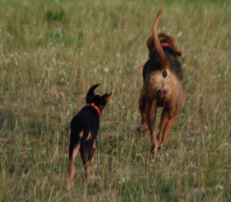 DSC_0016.JPG