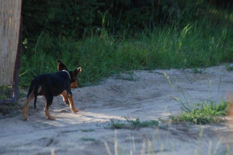 DSC_0067.JPG