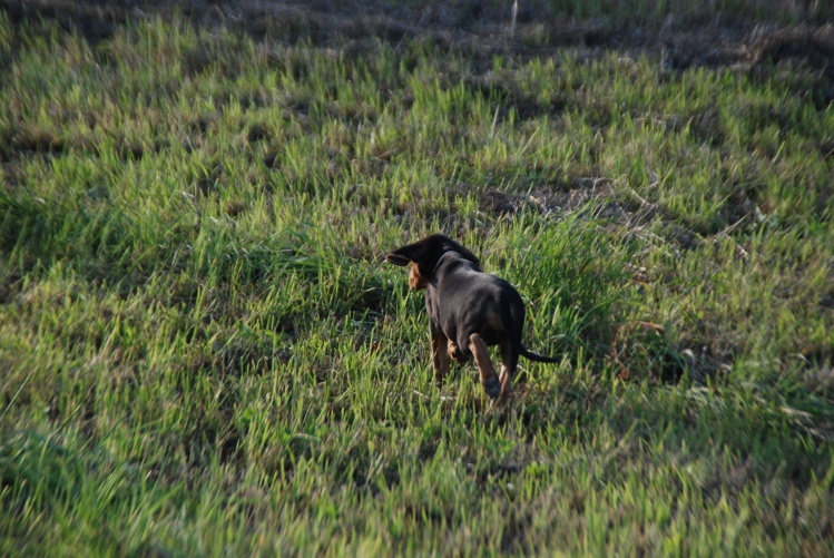DSC_0063.JPG