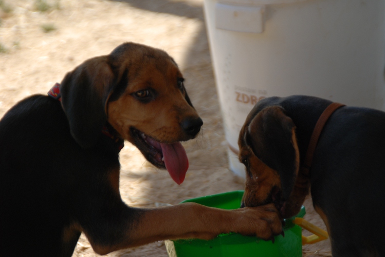 DSC_0035.JPG