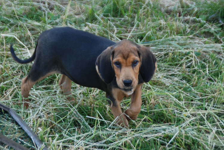 DSC_0072.JPG