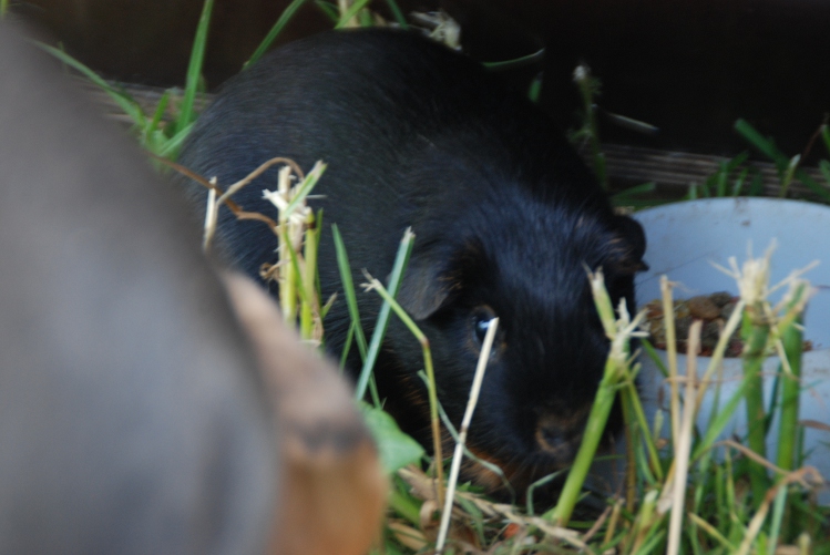 DSC_0077.JPG