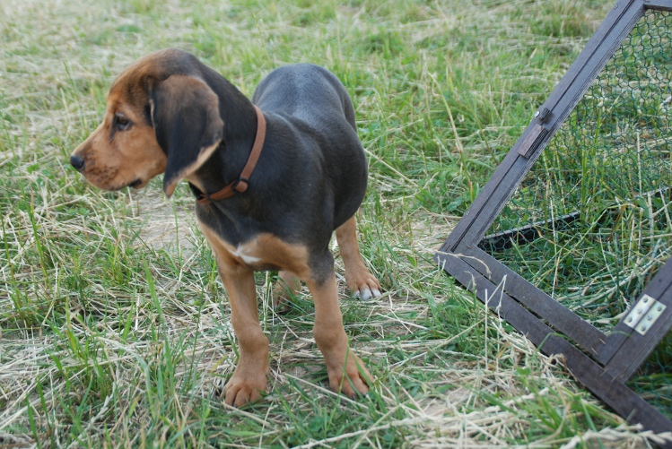 DSC_0074.JPG