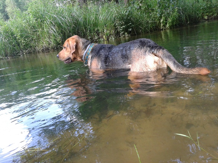 20140716_154012.jpg