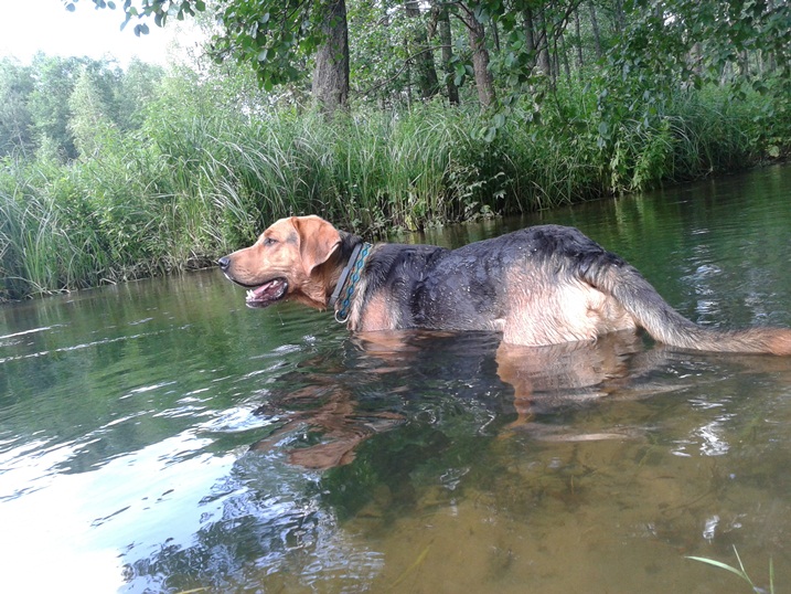 20140716_154015.jpg