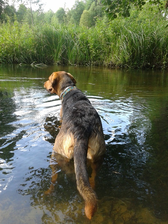 20140716_154030.jpg