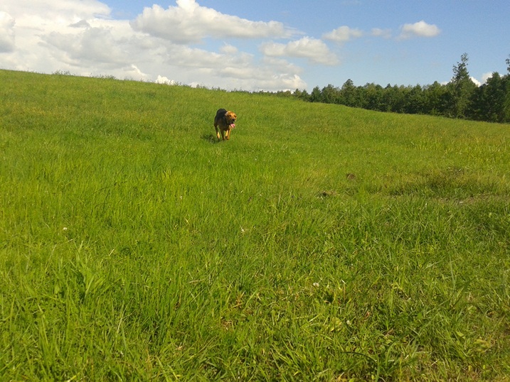 20140721_160053.jpg