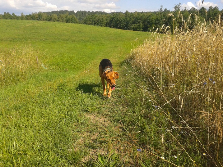 20140721_160202.jpg