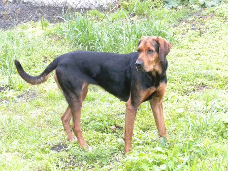 DSCN3647.JPG