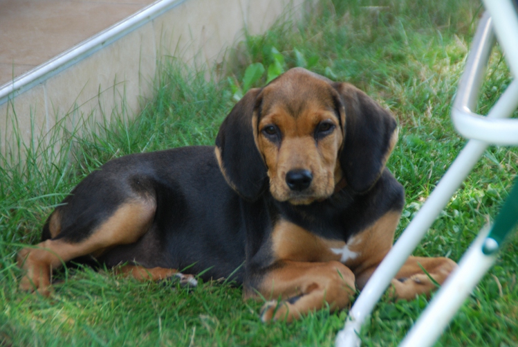 DSC_0022.JPG