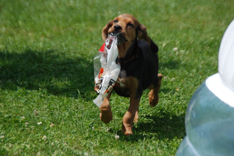 DSC_0030.JPG