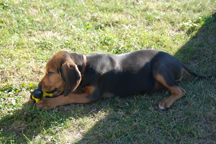 DSC_0040.JPG