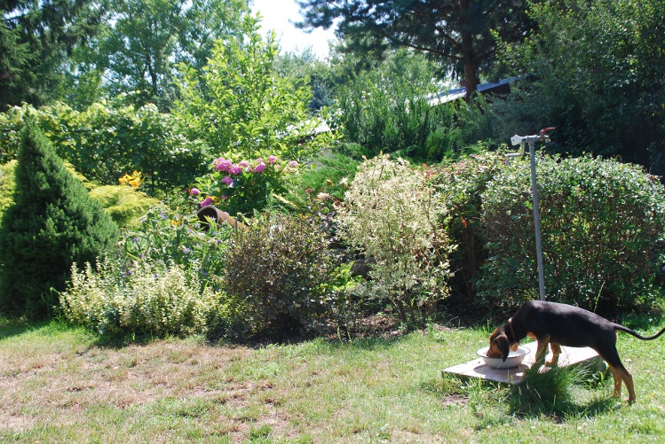 DSC_0015.JPG