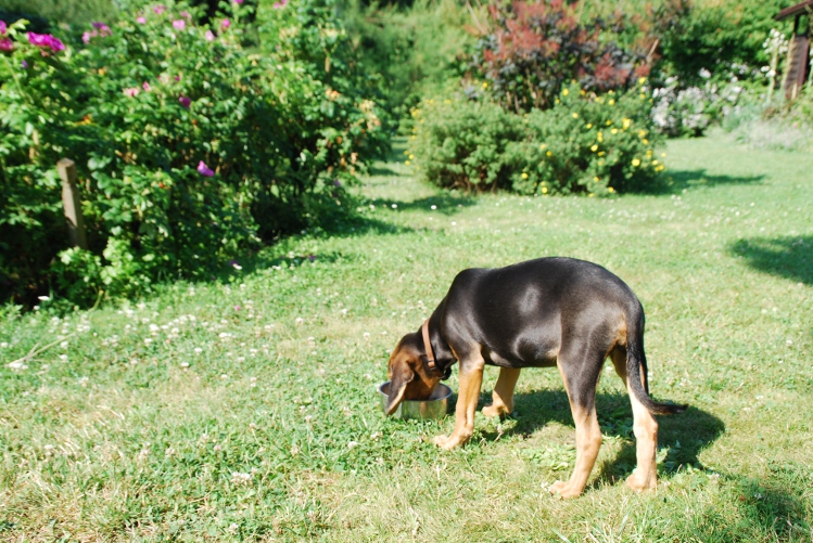 DSC_0010.JPG