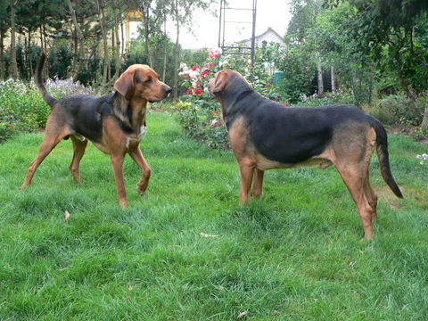 P1120131.JPG