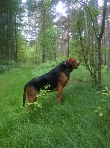 WP_20140525_028.jpg