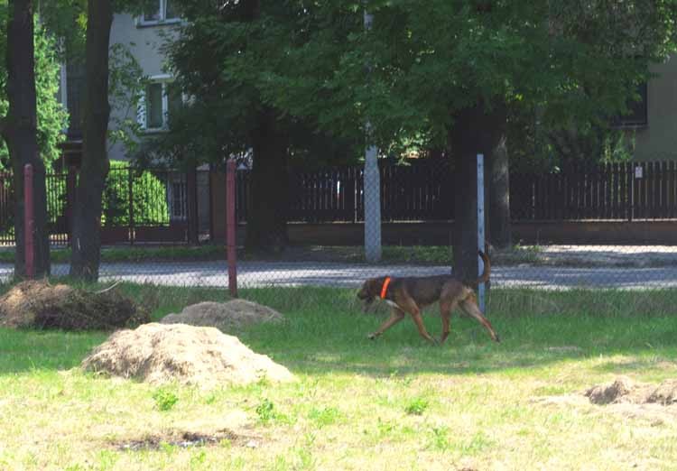Balcik 1.jpg