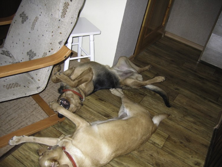 małe na ogarkowo-23.jpg