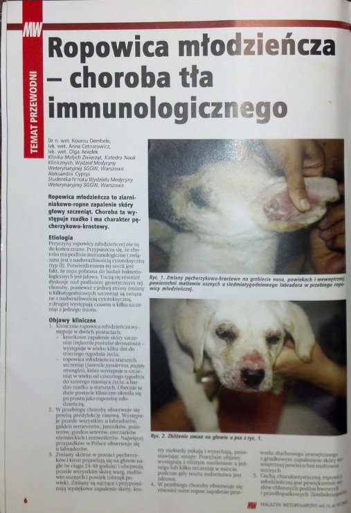 Nowy Dokument 16_1.jpg