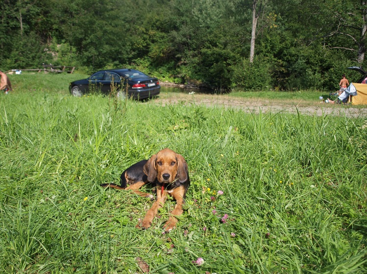 Cisza i spokój, nudaaaaaaa...