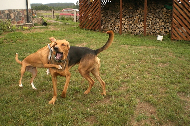 CIMG0584.JPG