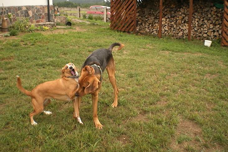 CIMG0585.JPG