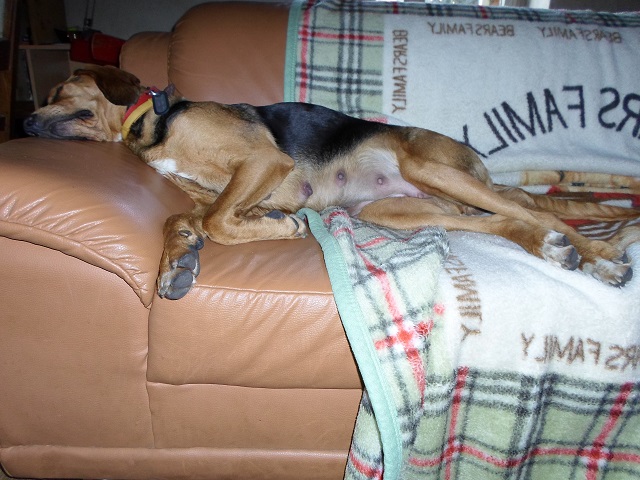 SAM_0011.JPG