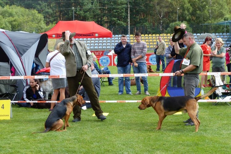 czapki (kapelusze) z głów