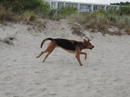 DSCN6118.JPG