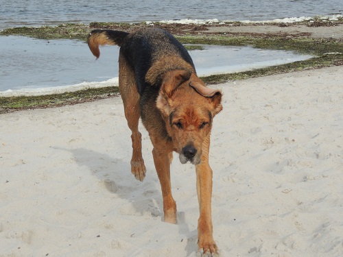 DSCN6178.JPG