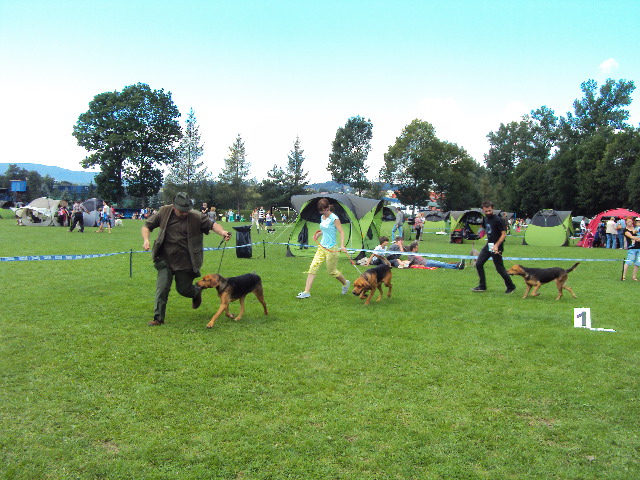 DSC01616.JPG