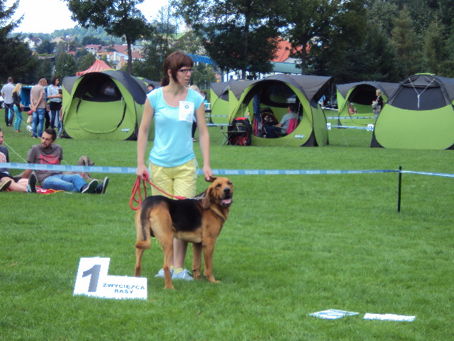 DSC01624.JPG
