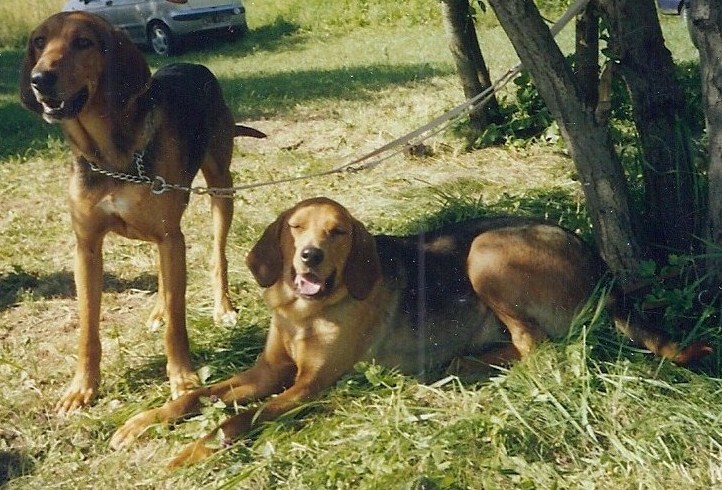 Scan_Pic0001.jpg