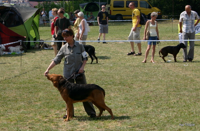 080.JPG