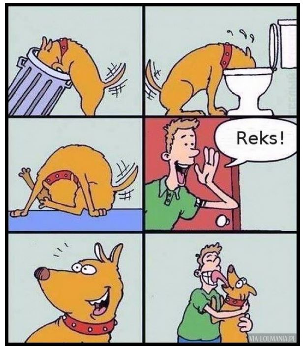 dog.JPG