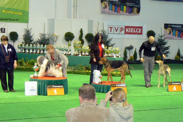 III BIS Ras Polskich