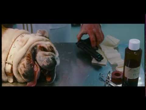 film.jpg