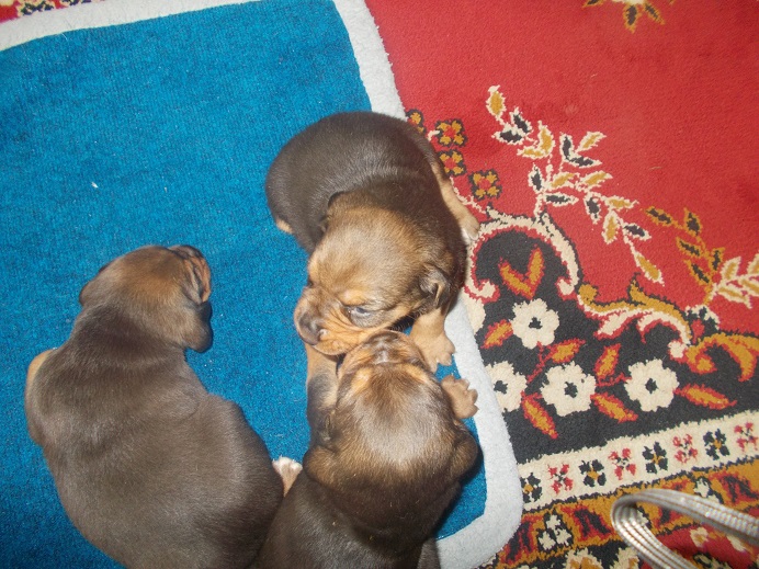 DSCN0776.JPG