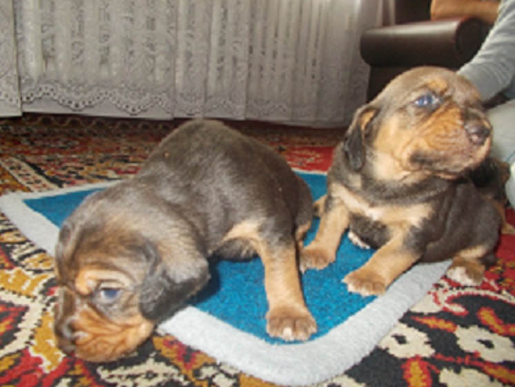 DSCN0780.JPG