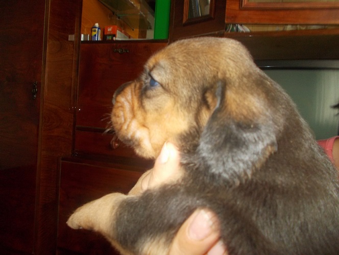 DSCN0786.JPG