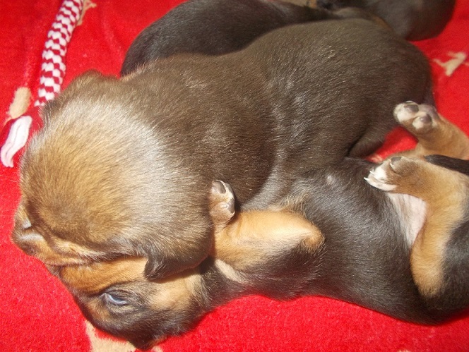 DSCN0822.JPG
