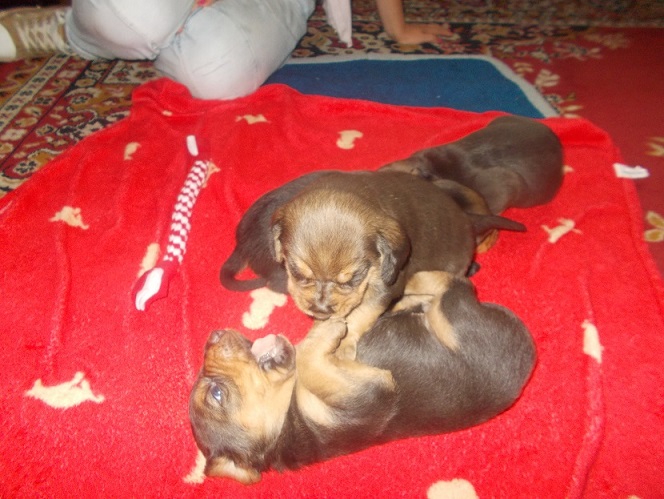 DSCN0824.JPG