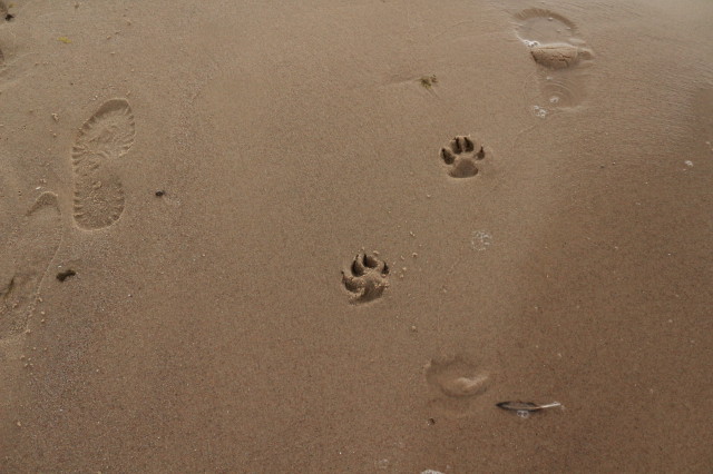 Byłam na plaży.JPG
