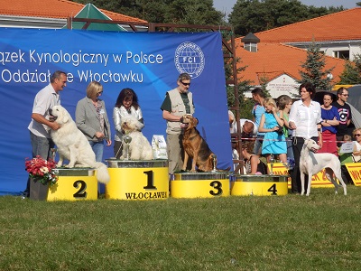 polskie rasy