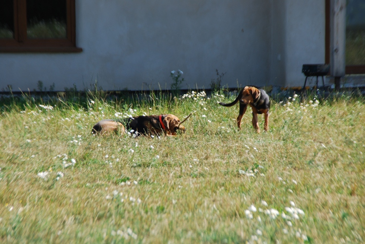 DSC_0029.JPG