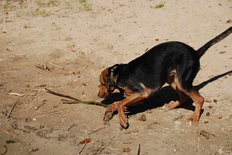 DSC_0056.JPG