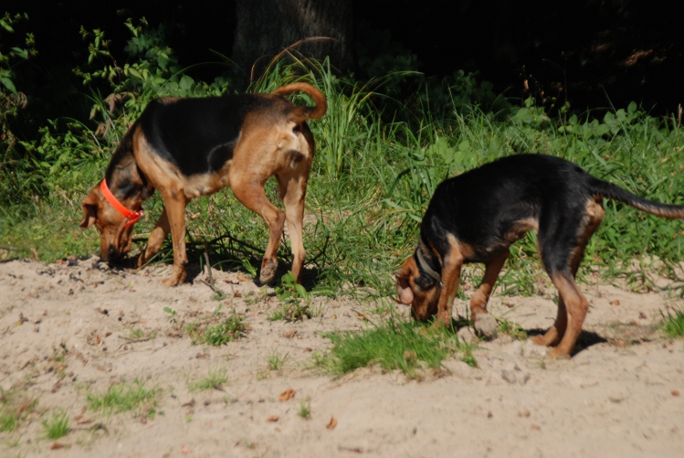 DSC_0052.JPG