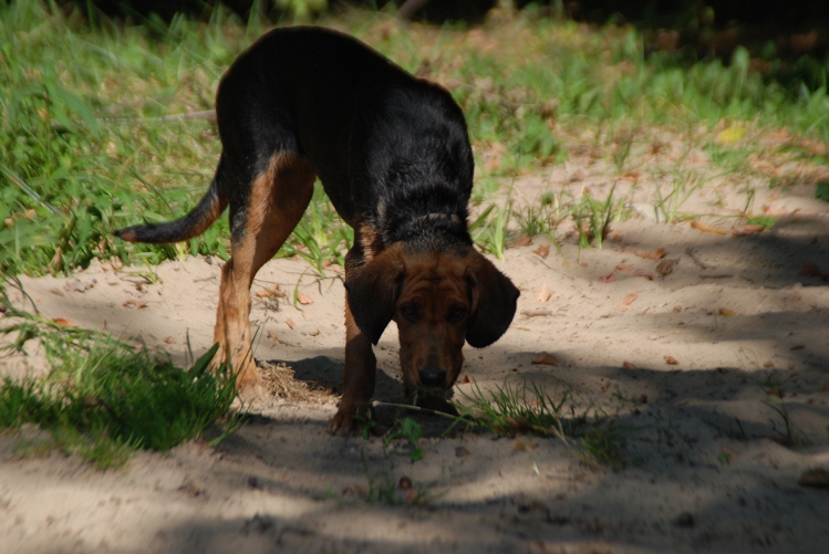 DSC_0050.JPG