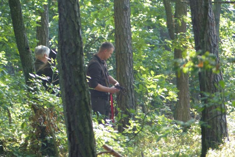 AWRA na ścieżce